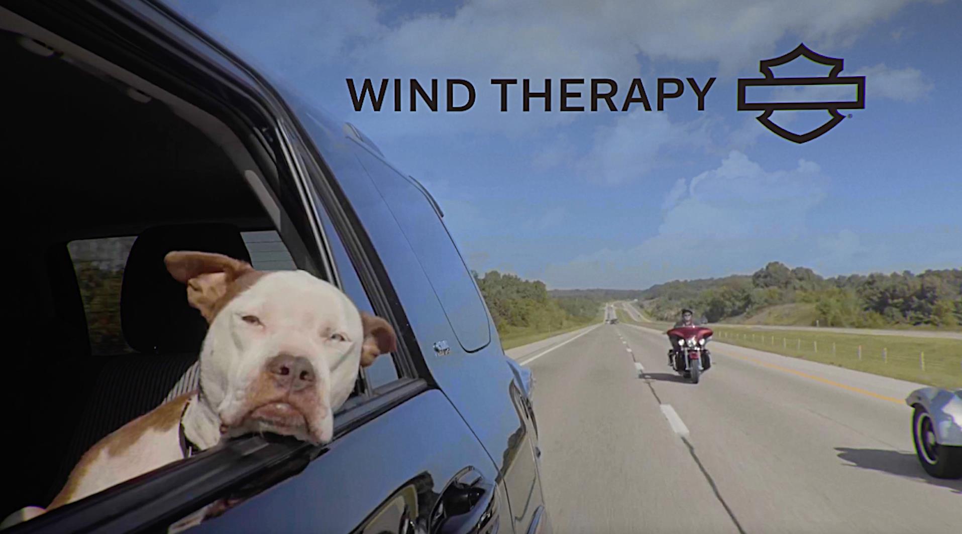 Harley Davidson "Wind Therapy" Campaign